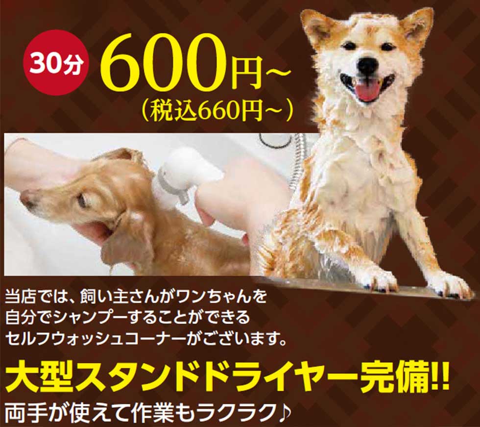 ニコペット与野 セルフウォッシュ