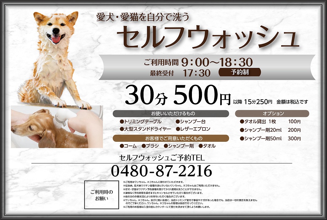 セルフウォッシュ大好評、予約受付中！ | NICO PET（ニコペット）