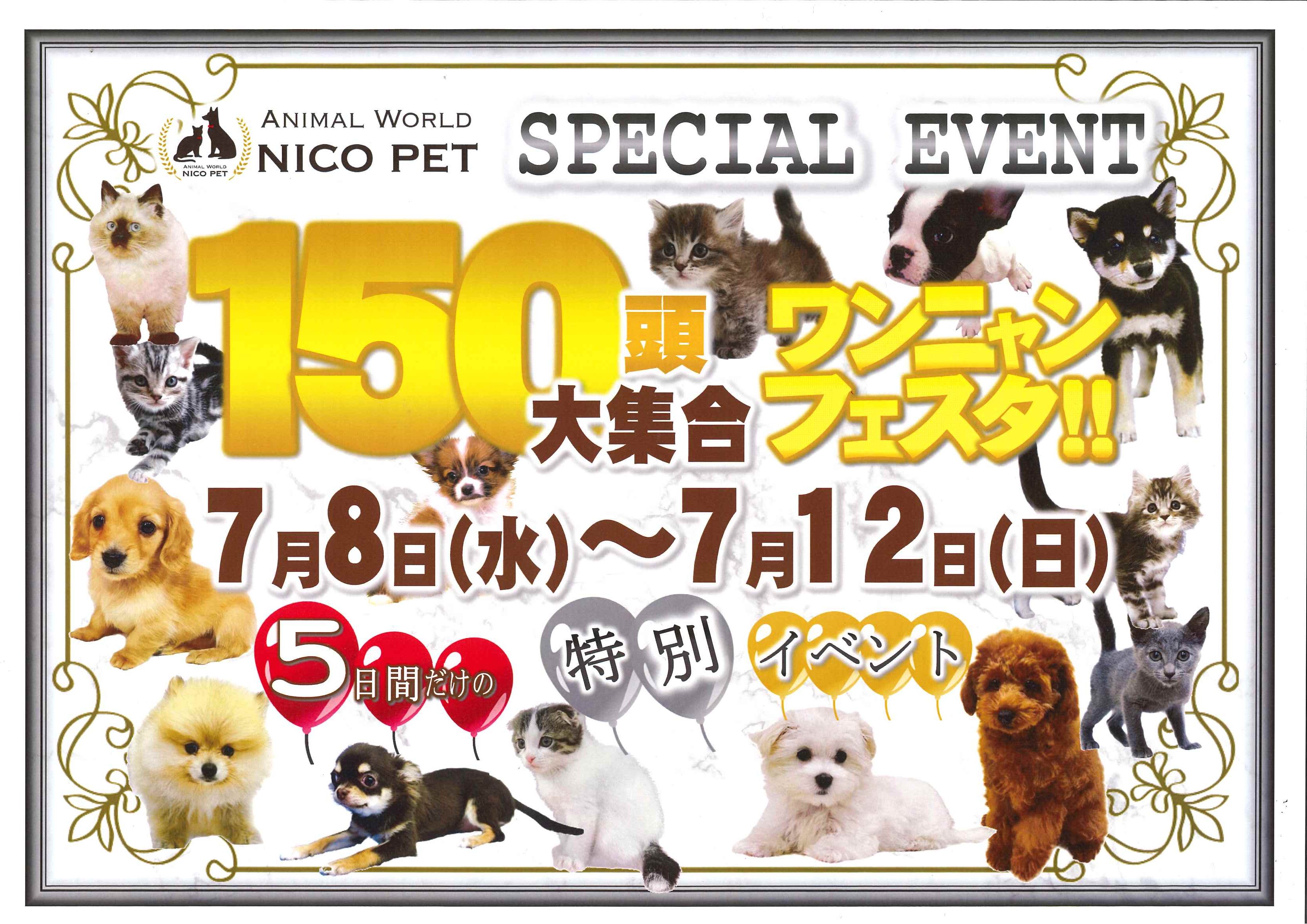 ワンニャンフェスタ開催中♪ | NICO PET（ニコペット）