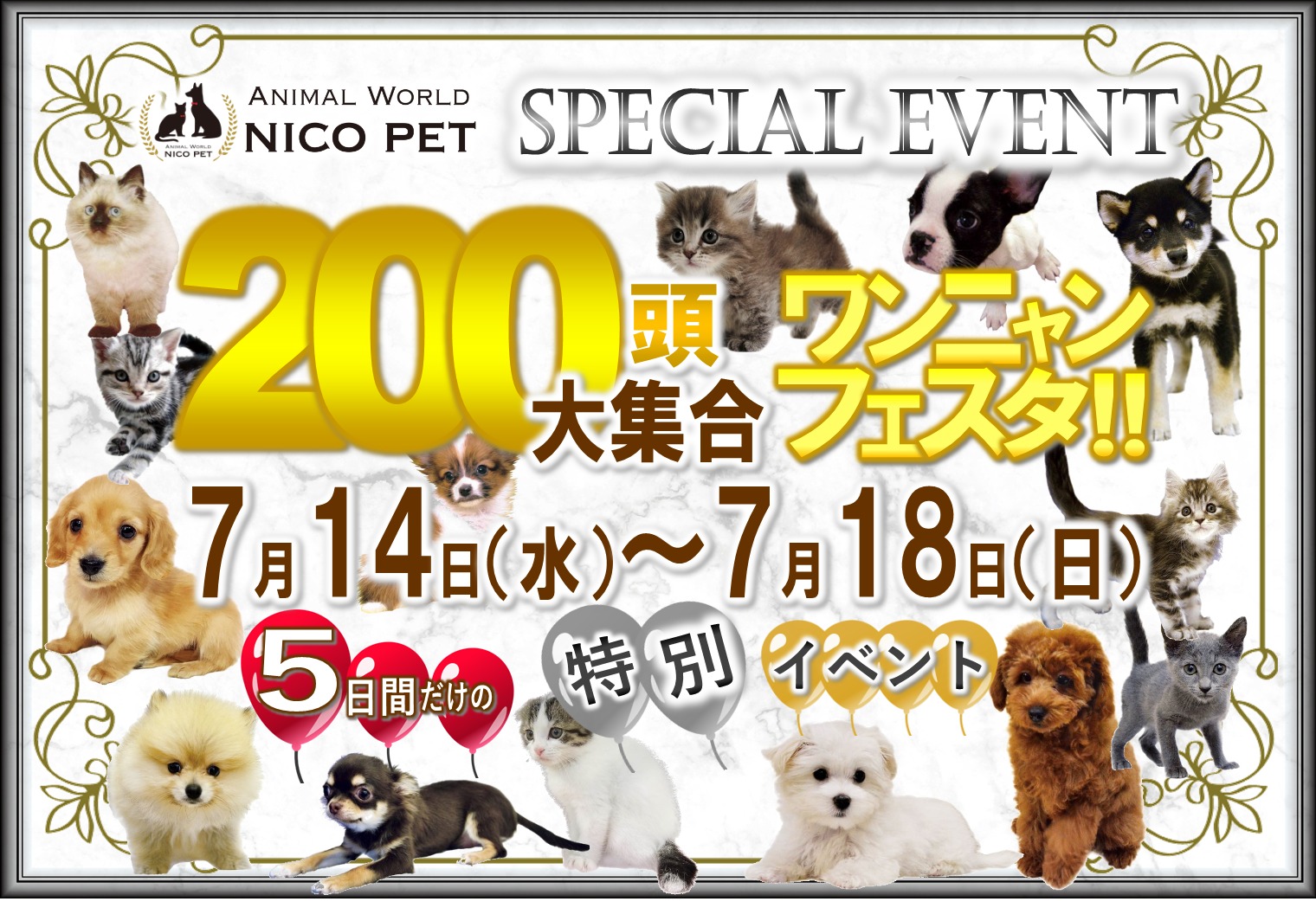 わんにゃんフェスタ開催予告 | NICO PET（ニコペット）