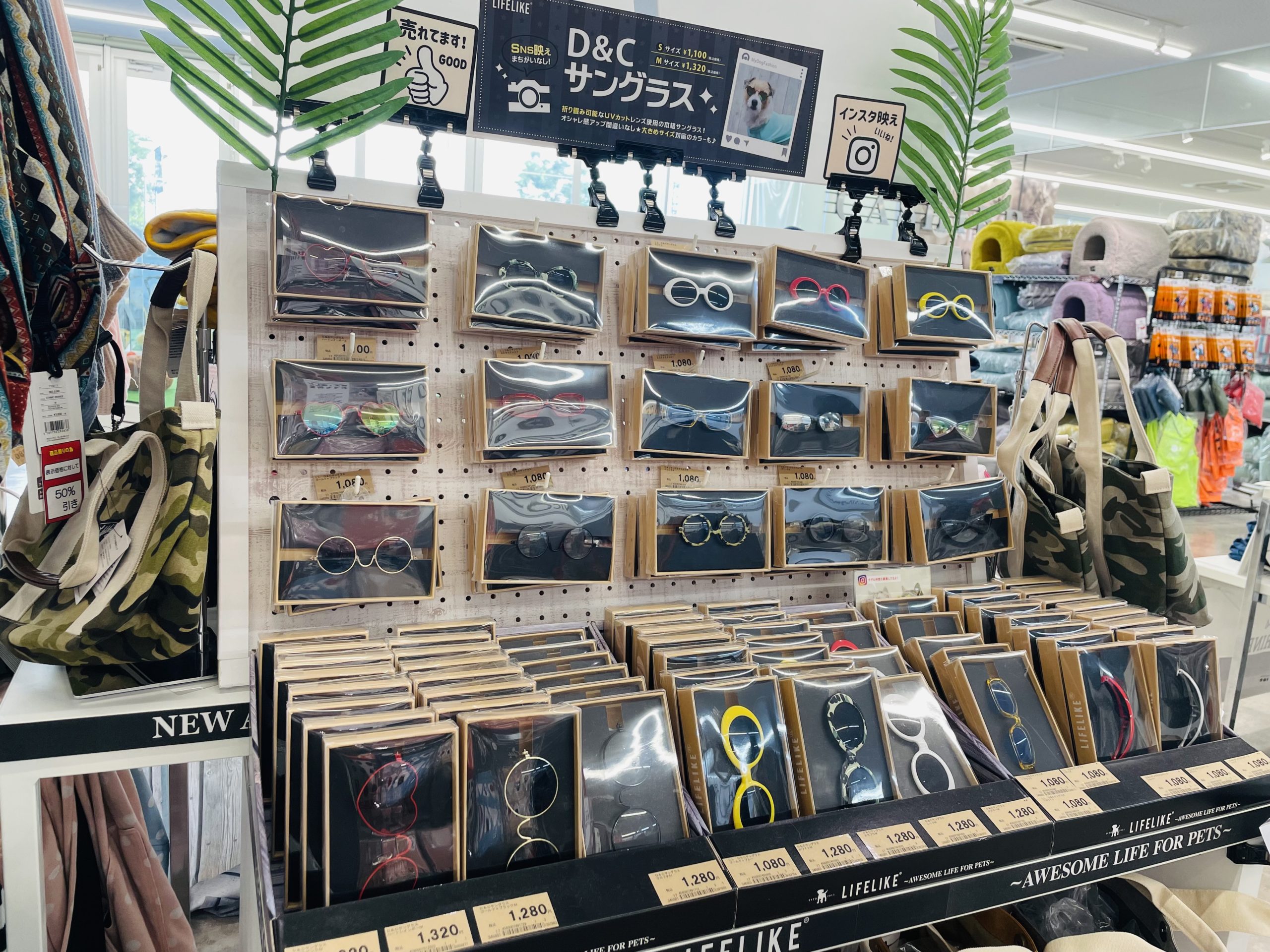 ?ペット用サングラスのご紹介＆イベント情報? | NICO PET（ニコペット）