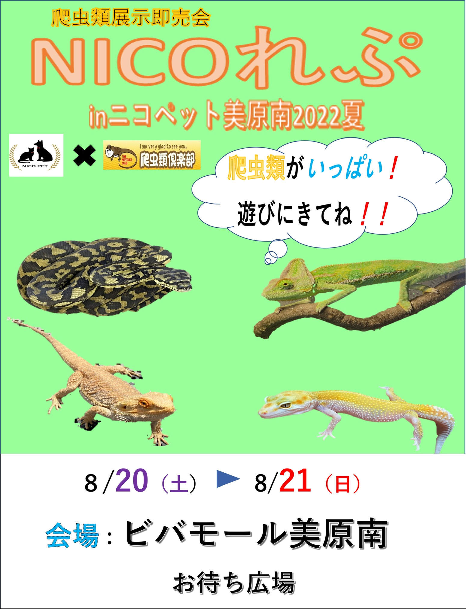 ８月２０日 ２１日はニコレプ Nico Pet ニコペット
