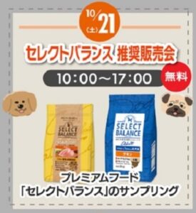 10/21.22🌈週末イベントのご案内🌈 | NICO PET（ニコペット） 