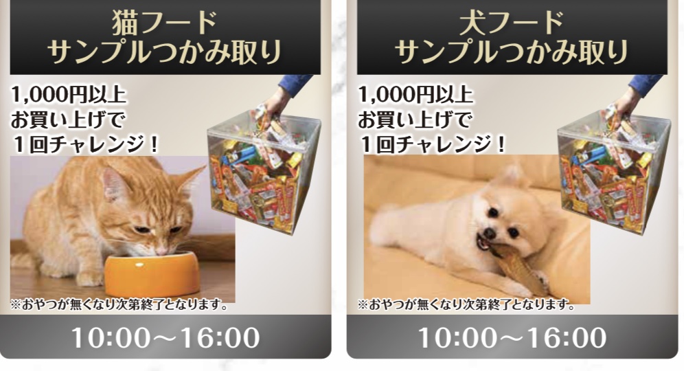 ✨ 週末イベント情報 ✨ | NICO PET（ニコペット）