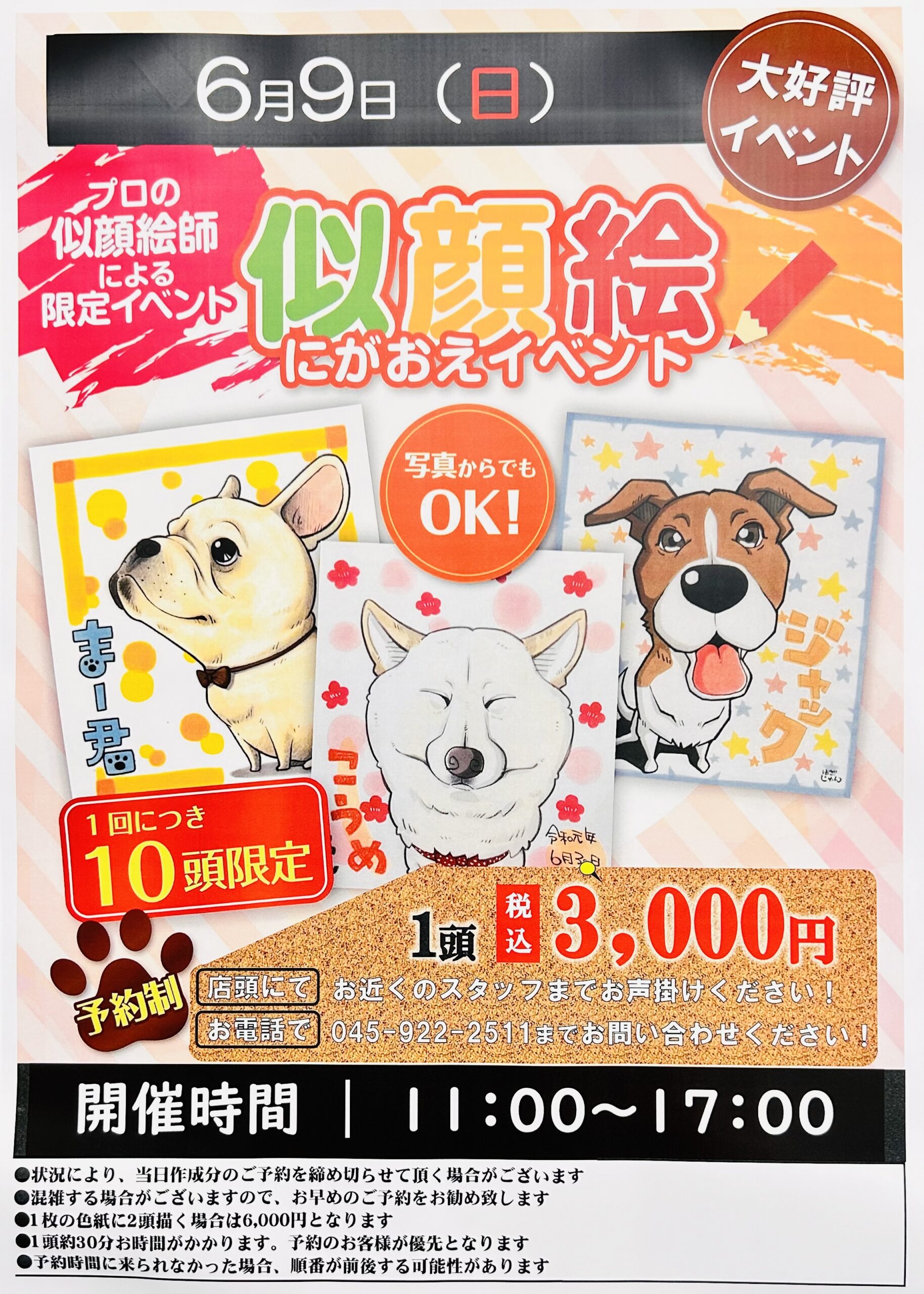 ☺イベントのお知らせ💖 | NICO PET（ニコペット）