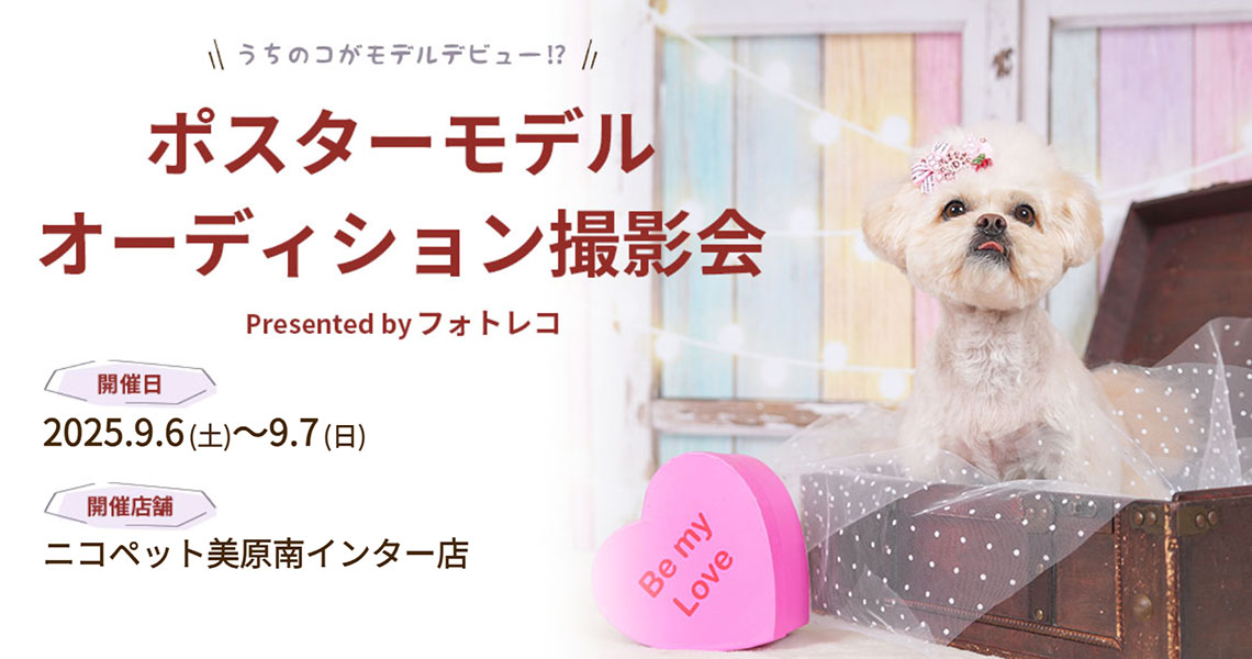 参加無料】ペットポスターモデルオーディション撮影会 | NICO PET