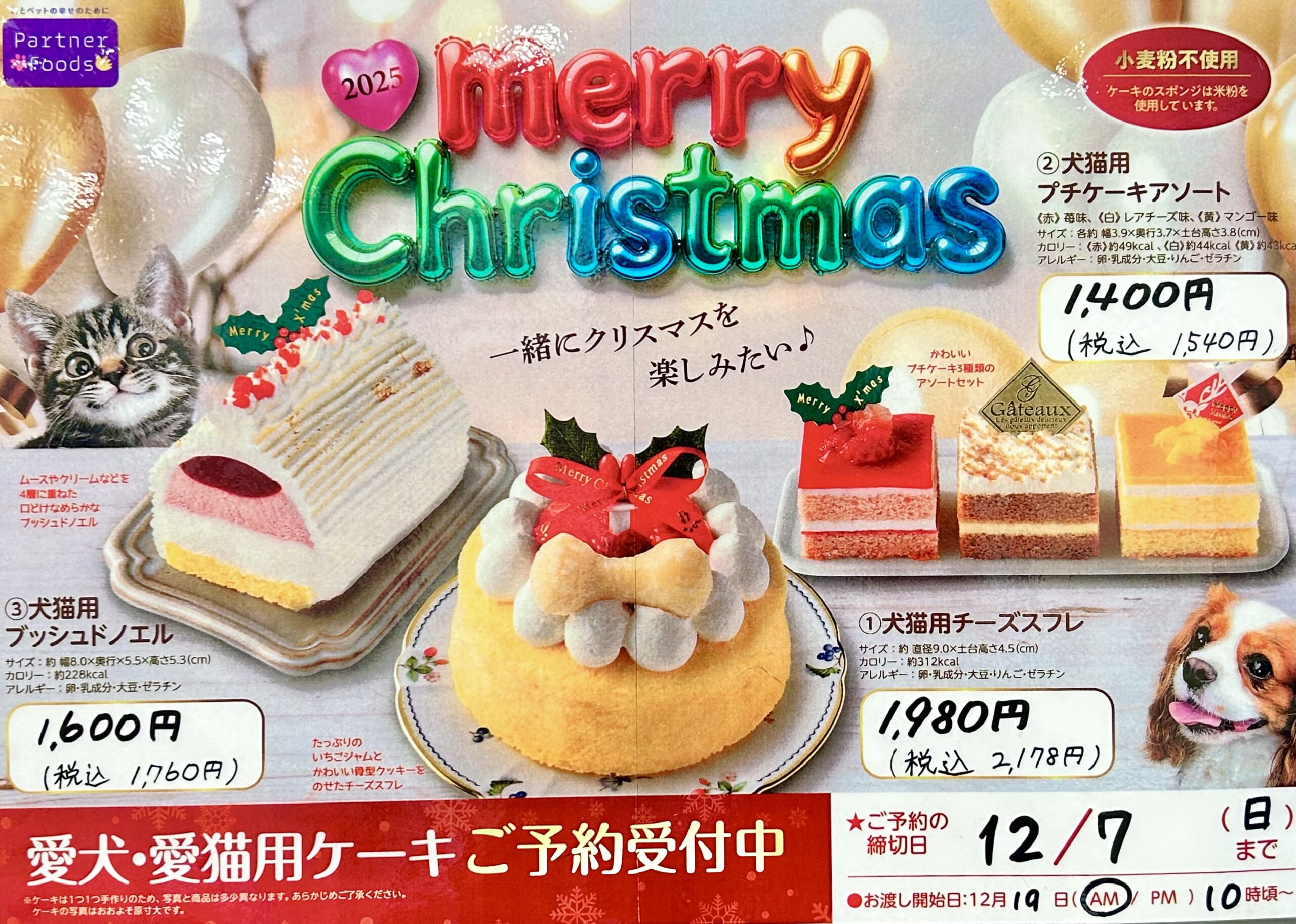🎄クリスマスケーキ 予約受付中！🎅 | NICO PET（ニコペット）