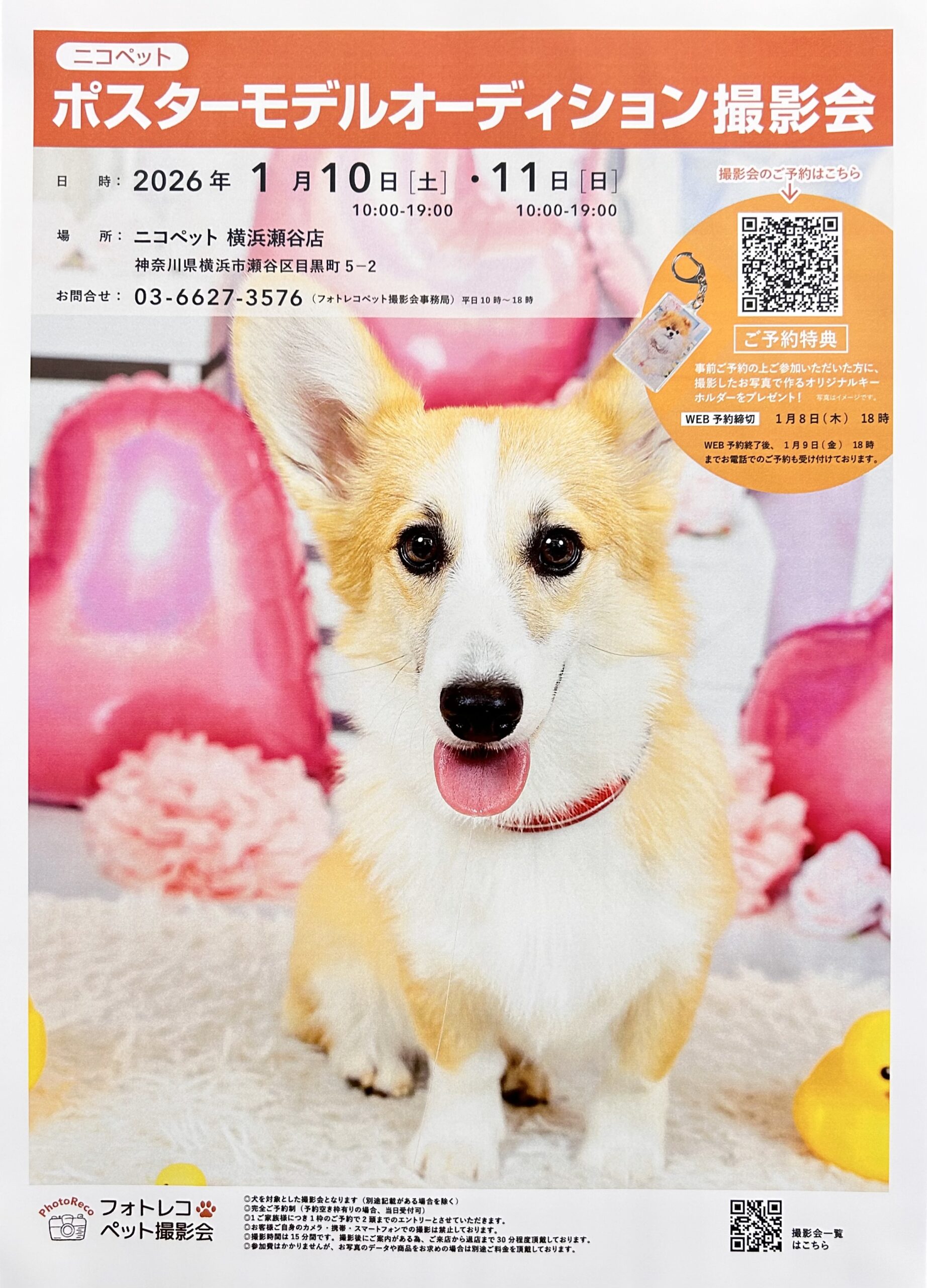 💖✨ポスターモデルオーディション 撮影会✨🥰 | NICO PET（ニコペット）