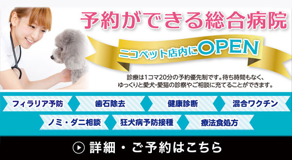ニコペット診療所
