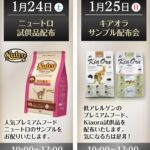 ✨ 週末イベント情報 ✨