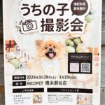 🐶✨うちの子撮影会✨🥰