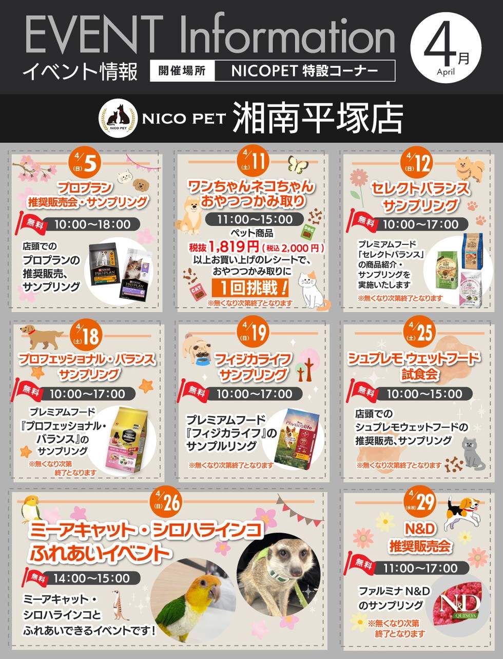 NICOPET（ニコペット）湘南平塚店 | NICO PET 週末イベント情報 | NICO