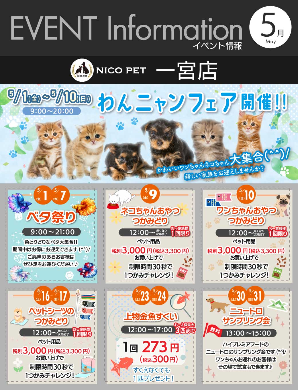 NICOPET（ニコペット）一宮店 | NICO PET 週末イベント情報 | NICO PET