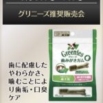 ✨ 週末イベント情報 ✨
