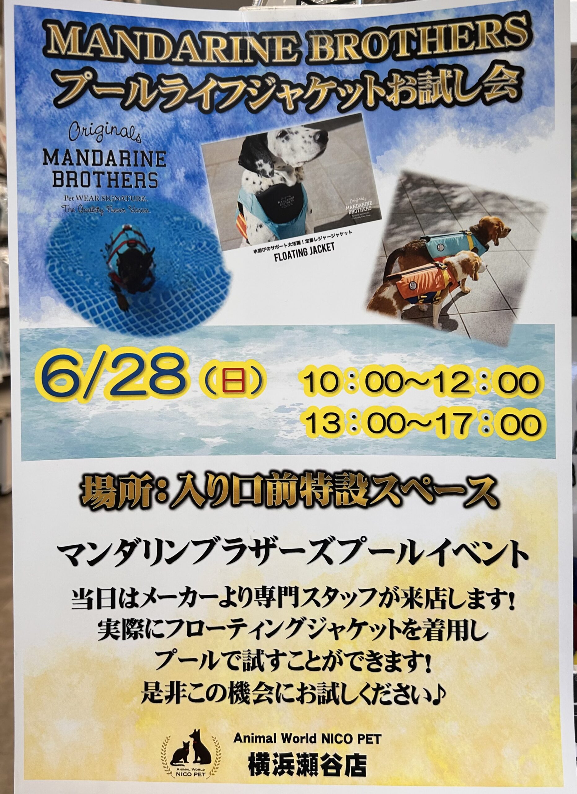 ⛱️マンダリン プールイベント🐶 | NICO PET（ニコペット）