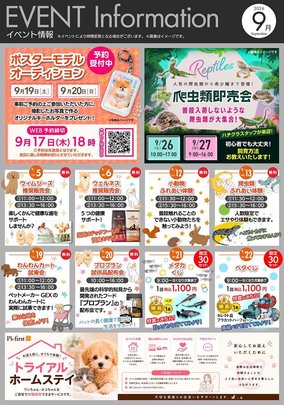 NICOPET（ニコペット）須坂店 | NICO PET 週末イベント情報 | NICO PET