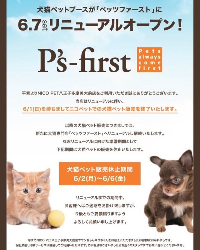 NICOPET（ニコペット）八王子多摩美大前店 | ワンニャンギャラリー