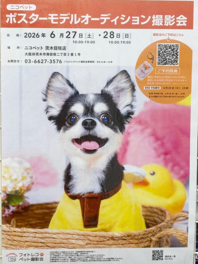 NICOPET（ニコペット）茨木目垣店 | ワンニャンギャラリー | NICO PET