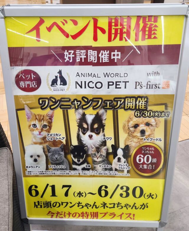 NICOPET（ニコペット）久喜菖蒲店 | ワンニャンギャラリー | NICO PET