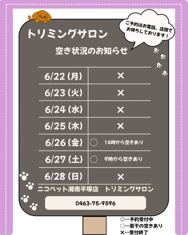 NICOPET（ニコペット）湘南平塚店 | ワンニャンギャラリー | NICO PET